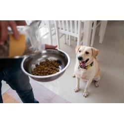 Dozer Karma Pełnoporcjowa Sucha dla Psów z Wołowiną 5kg Premium