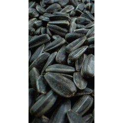 5KG SŁONECZNIK CZARNY Drobny KARMA DLA PTAKÓW 5 KG WIADERKO