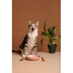 MOKRA KARMA DLA KOTA MIAU MIAU Z RYBĄ 12x415G