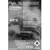 ZIMOWY PŁYN DO SPRYSKIWACZY -22 C DLA WSZYSTKICH 20L