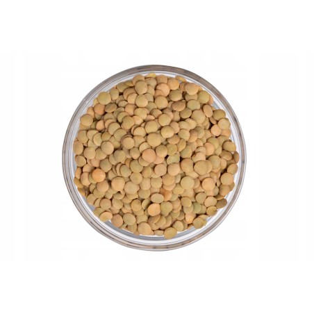 SOCZEWICA ZIELONA 500g Naturalna wysoka jakość