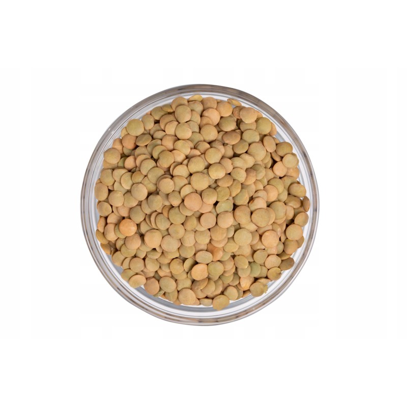 SOCZEWICA ZIELONA 2,5kg Naturalna wysoka jakość