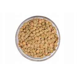 SOCZEWICA ZIELONA 1kg...