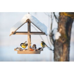 KARMA DLA DZIKICH PTAKÓW Gołębi ziarno Qmix 25kg