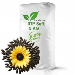 SŁONECZNIK CZARNY Drobny...