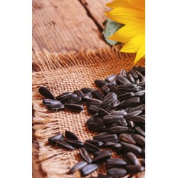 SŁONECZNIK CZARNY Drobny KARMA DLA PTAKÓW 10KG