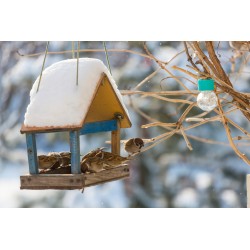 Słonecznik łuskany karma dla ptaków naturalna 25kg