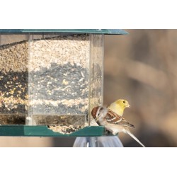 Słonecznik łuskany karma dla ptaków naturalna 25kg