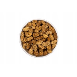 MORWA suszona 250g owoc bez...