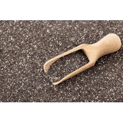 NASIONA CHIA 100g świeże szałwia hiszpańska Foods