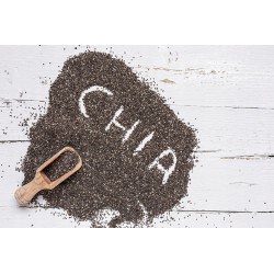 NASIONA CHIA 100g świeże szałwia hiszpańska Foods