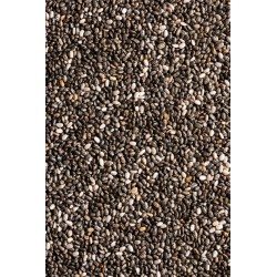 NASIONA CHIA 100g świeże szałwia hiszpańska Foods