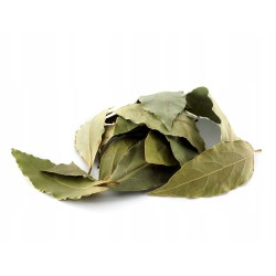 LIŚĆ LAUROWY 100g Liście laurowe naturalne świeże