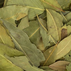 LIŚĆ LAUROWY 200g Liście laurowe naturalne świeże