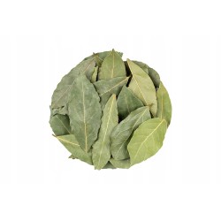 LIŚĆ LAUROWY 200g Liście laurowe naturalne świeże