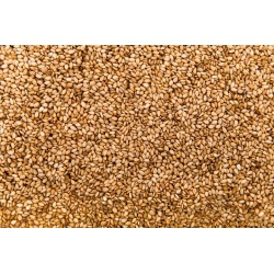 SIEMIĘ LNIANE ZŁOTE 5kg Nasiona złote jakość