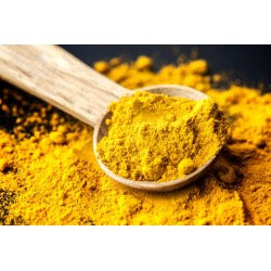 Kurkuma mielona 1kg WYSOKA JAKOŚĆ bez chemii Foods