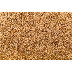 1kg Siemię lniane Len ZŁOTE nasiona złociste Foods