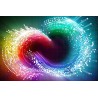 Adobe Creative Suite 5.5 Web Premium PL MAC