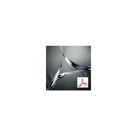 Adobe Acrobat Standard DC 2020 PL