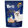 BRIT Premium by Nature Indoor karma dla kotów niewychodzących kurczak 800g