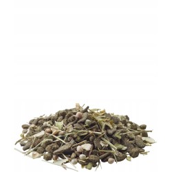 Versele Laga Degu Nature 2,3kg Pokarm karma dla koszatniczki