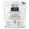 BRIT CARE DOG SHOW CHAMPION SALMON & HERRING sucha karma dla psa 1kg