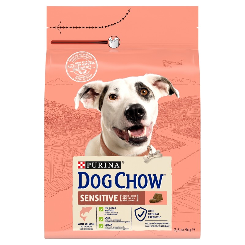 Purina Dog Chow Sensitive karma sucha łosoś 2,5 kg