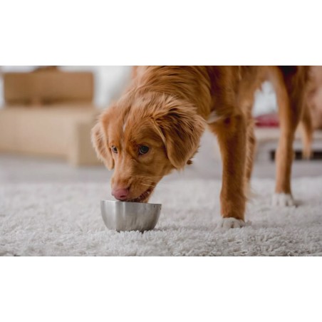 Baton BULT Wieprzowina 10x900g Premium BULT z Wieprzowiny Kiełbasa Pasztet