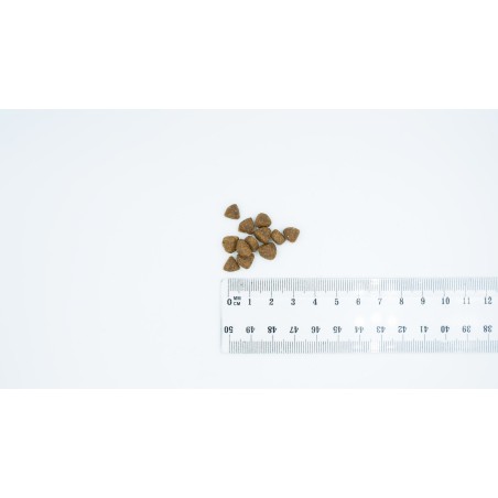 BULT 1kg Sucha karma dla psa z kaczką i indykiem dla szczenąt