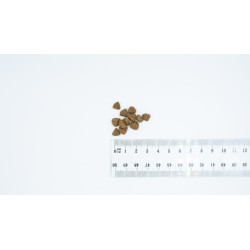 BULT 1kg Sucha karma dla psa z kaczką i indykiem dla szczenąt