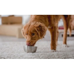 2kg Makaron instant z...