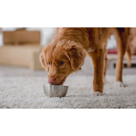 MOKRA KARMA DLA PSA TUFTUF TACKA PASZTET ZESTAW MIX SMAKÓW 36x 300g (18 razy WOŁ + DZIK)