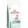 ROYAL CANIN Diabetic karma dla psa 12kg