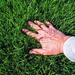 MOCZNIK 2kg AZOT 46% UNIWERSALNY NAWÓZ TRAWNIKI IGLAKI WARZYWA OWOCE TOP