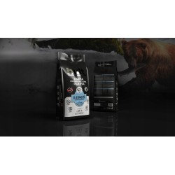 BULT 3kg Sucha karma dla psa z łososiem i pstrągiem pełnowartościowa