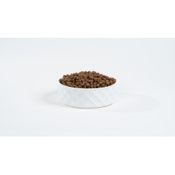 BULT 1kg Sucha karma dla psa z łososiem i pstrągiem pełnowartościowa