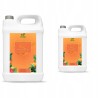 10L Płyn do Spryskiwaczy - MANGO - Letni Sprysk 2 x 5 litrów PREMIUM
