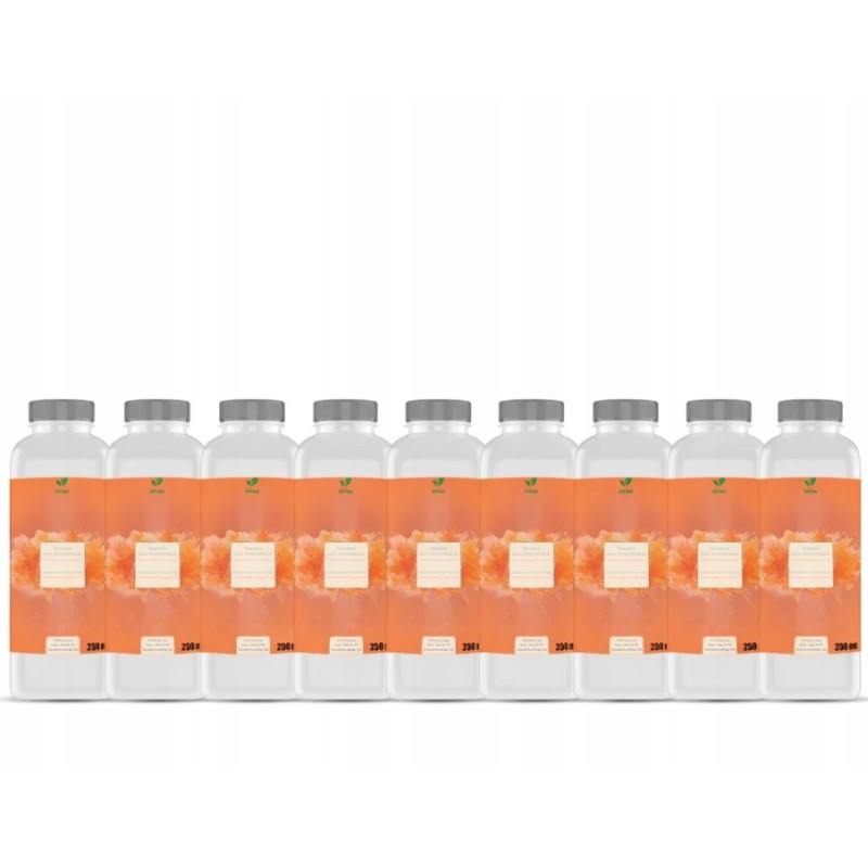 Płyn do spryskiwaczy LETNI POMARAŃCZ KONCENTRAT 1:100 10x250 ml wydajny