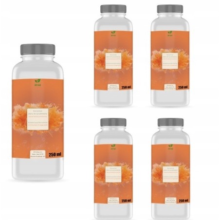 Płyn do spryskiwaczy LETNI POMARAŃCZ KONCENTRAT 1:100 5x250 ml wydajny