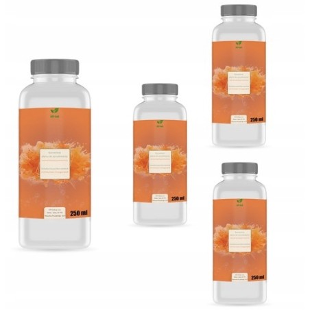 Płyn do spryskiwaczy LETNI POMARAŃCZ KONCENTRAT 1:100 4x250 ml wydajny