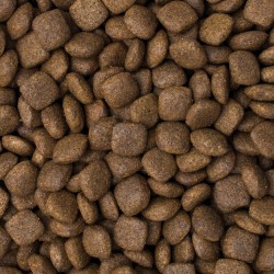 TROPIDOG Premium karma dla dorosłych średnich i dużych psów wołowina 500g