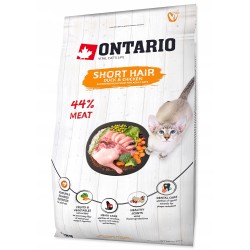 ONTARIO Cat Short Hair...