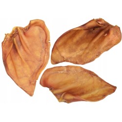 10 sztuk Suszone Uszy Wieprzowe Naturalny Przysmak dla Psa