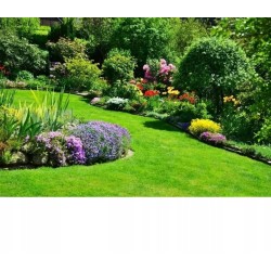 25kg Nawóz do Tui Iglaków Cisów wiosenny Regeneracyjny Przeciw Brązowieniu