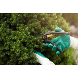 25kg Nawóz do Tui Iglaków Cisów wiosenny Regeneracyjny Przeciw Brązowieniu