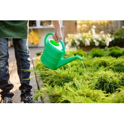 25kg Nawóz do Tui Iglaków Cisów wiosenny Regeneracyjny Przeciw Brązowieniu