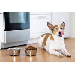 Dozer Karma Pełnoporcjowa Sucha dla Psów z Wołowiną 3kg Premium