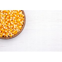 POPCORN ziarno kukurydzy do prażenia 100g Foods