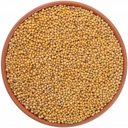 GORCZYCA BIAŁA 500g Ziarno...